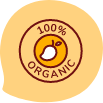 100% Organic Mangoes