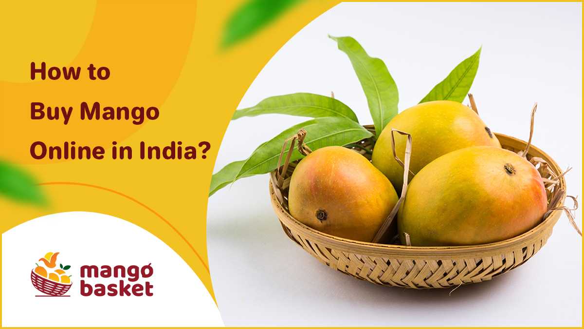 Buy Mango Online in India