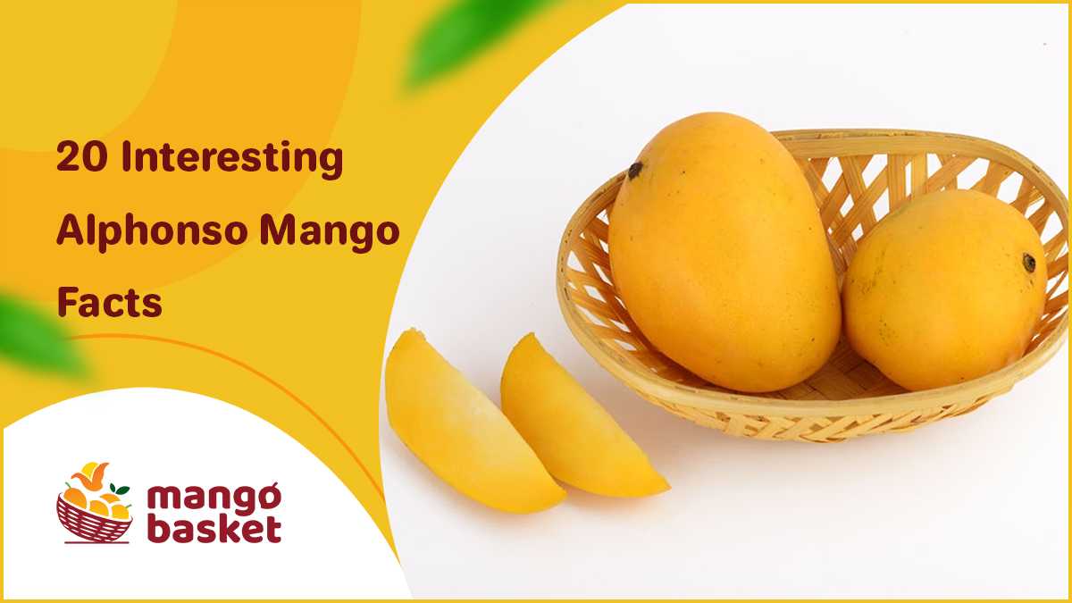 Mango Facts