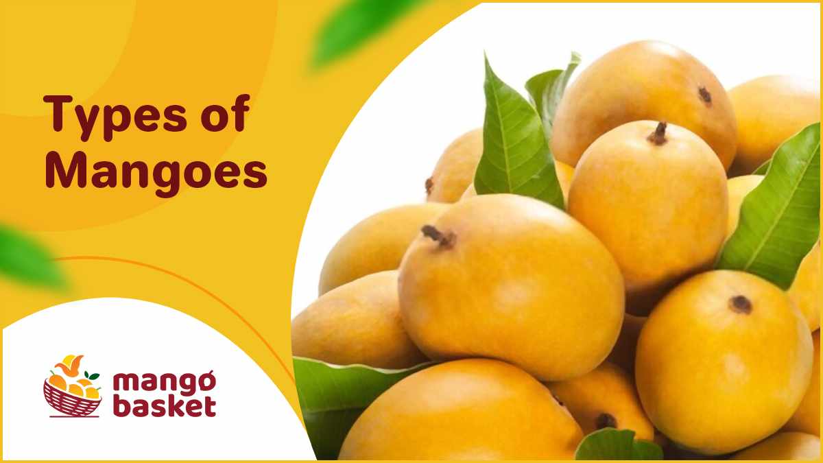 Types of Mangoes in India and Where to Find Them