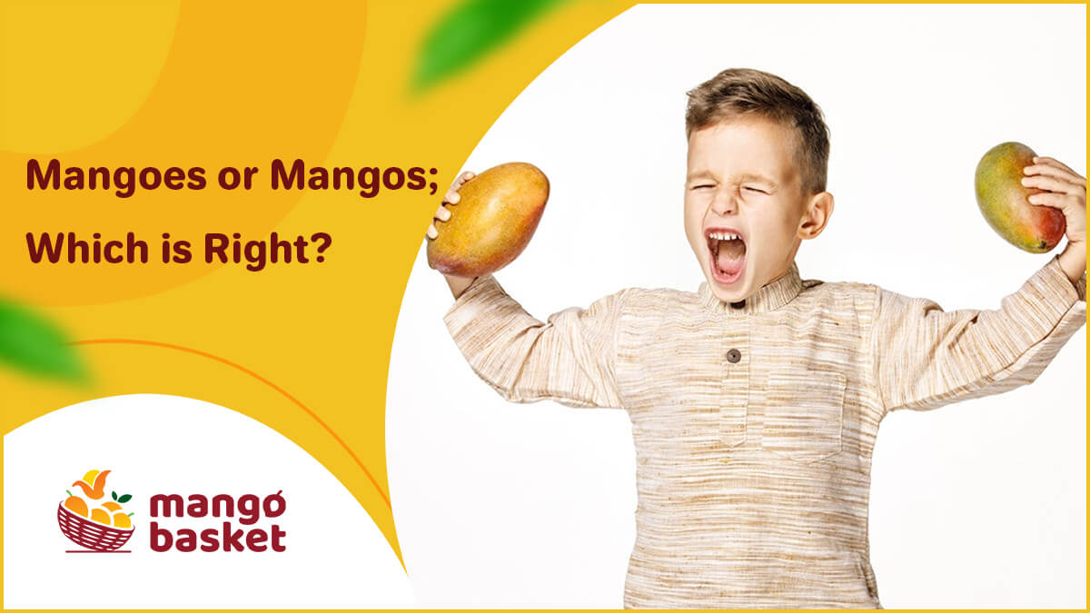 Mangoes or Mangos