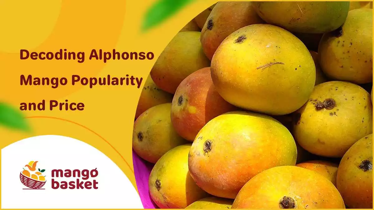Alphonso Mango Price