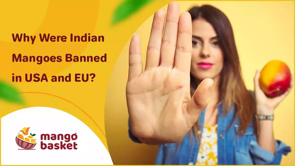 Indian Mangoes Banned in USA and EU